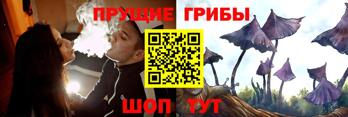 Анапа  Псилоцибиновые грибы Cubensis  Галлюциногенные грибы мицелий  Вход с VPN 