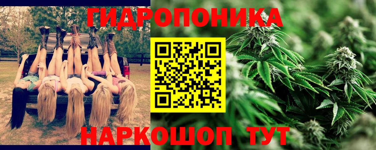 Бошки марихуана VHQ Анапа